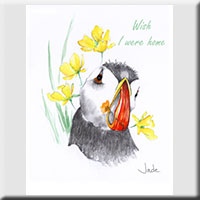 Card 6005